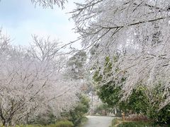 -临平公园(临平街道)