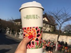 -鸡鸣赐茶(鸡鸣寺路店)