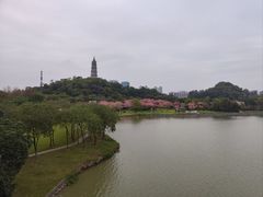 -顺峰山公园