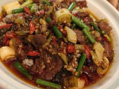 -雀蓝川菜(奥体广场店)