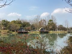 -夏河溪乡野公园