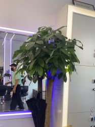 -BUTY HAIR 比帝专业烫染店