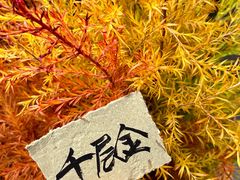 -帝京日语(春熙路旗舰校区)