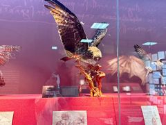 -国家自然博物馆