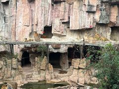 -长鹿旅游休博园