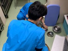 -奈斯宠物医院·核磁CT·异宠专科·内镜(中南店)