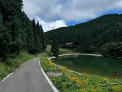 -武陵山森林公园