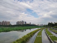 -月湖风景区