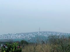 -雨花胜境