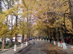android_upload_pic-八大关景区