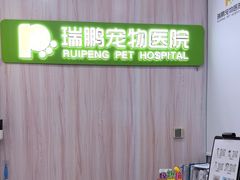 -瑞鹏宠物医院·微创内窥镜·骨外科·牙科(翠竹分院)