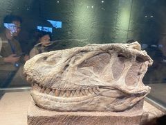 -自贡恐龙博物馆