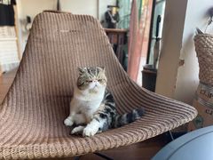 -参差咖啡(水果湖公园店)