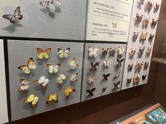 -天津自然博物馆