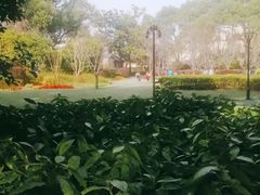 -徐家汇源景区-衡山公园