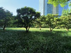 -静安公园(静安寺街道)