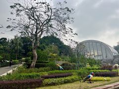 -石排湾郊野公园