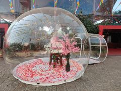 -丽江千古情