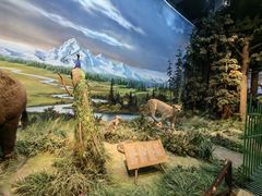 -陕西自然博物馆