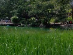 -静安公园(静安寺街道)
