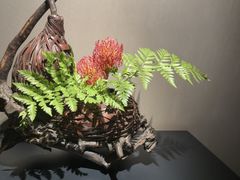 -觀芷隐轩
