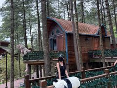 -洛阳白云山景区