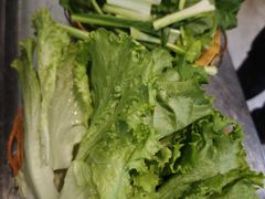 -野菌园·野生菌火锅首创第一家(关兴路总店)