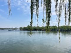-济南大明湖景区