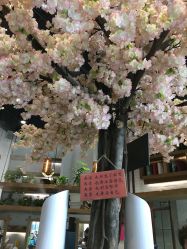 -简影造型·自选烫染接发salon