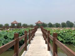 -金色田园农家乐餐厅