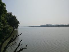 -鹤之洲湿地公园