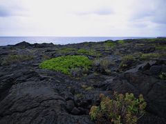 -夏威夷火山国家公园