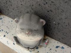 -半岛宠物医院24小时(白果林店)
