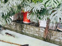 -燕北云山·农家菜·灶台鱼(密云溪翁庄店)