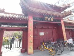-桃花堤公园