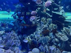 -左海海底世界
