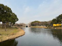 景点-新江湾城公园