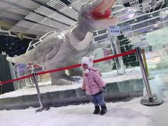 -宁波冰雪大世界(北仑区)