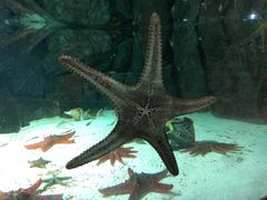 -福州罗源湾海洋世界旅游区