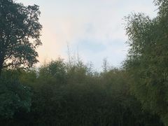-厦门园林博览苑