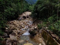 -姑婆山旅游区