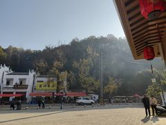 -千年银杏谷文化旅游区