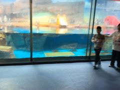 -海合安武汉极地海洋公园