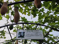 -中国天府农业博览园