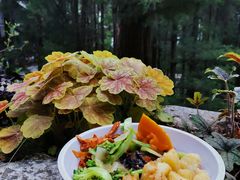 -苍山感通索道