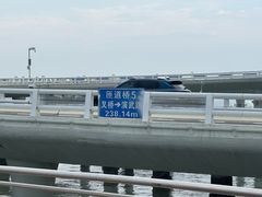 -演武大桥观景平台