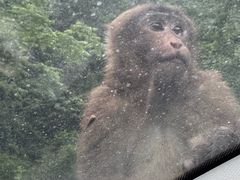 -西岭雪山大飞水景区