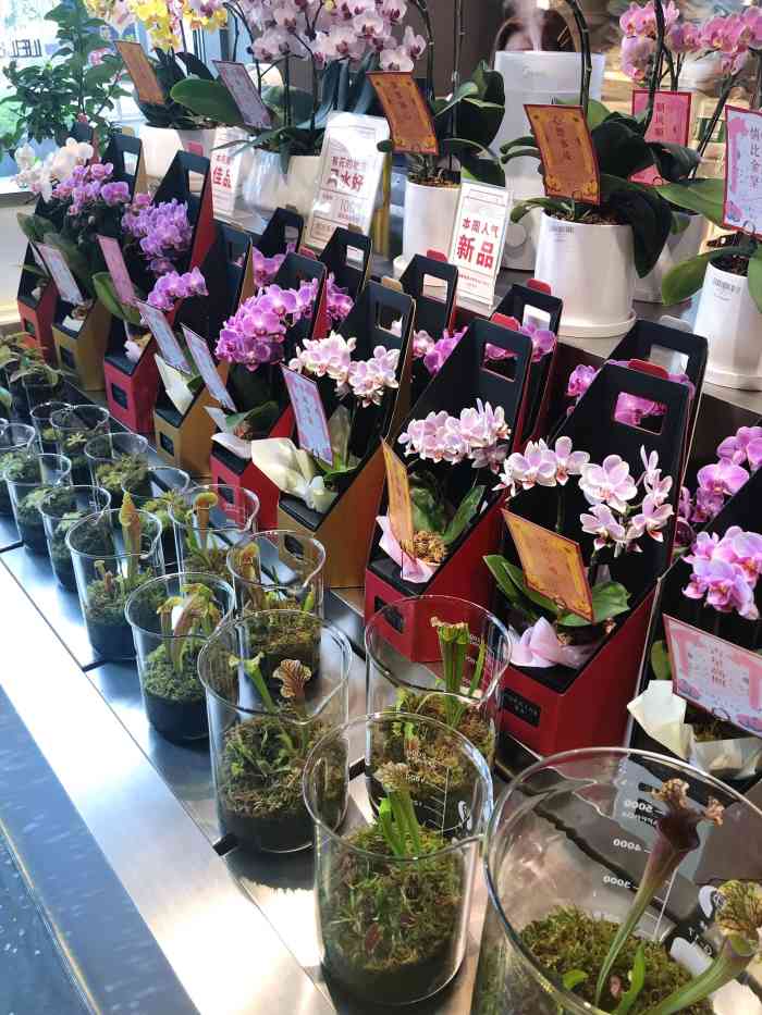 植治(金桥国际店"在金桥国际买乐乐茶时看到的小店,深深地被.