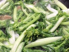 当地农家新鲜蔬菜-广州素食学校·素猫豆腐(长洲码头店)