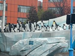 -海合安武汉极地海洋公园